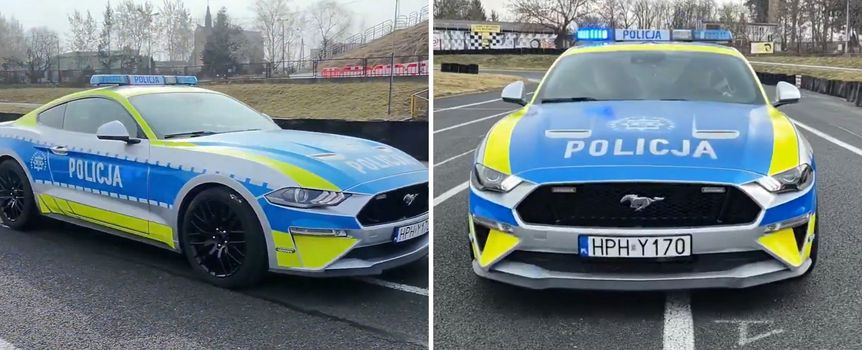 Policyjny mustang