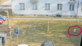 Strzały z broni
