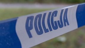 policja