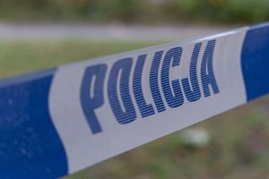 policja