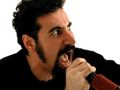 Kiedy System Of A Down w Polsce?