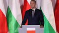 Karol Nawrocki podczas obchodów Dnia Przyjaźni Polsko-Węgierskiej w Przemyślu