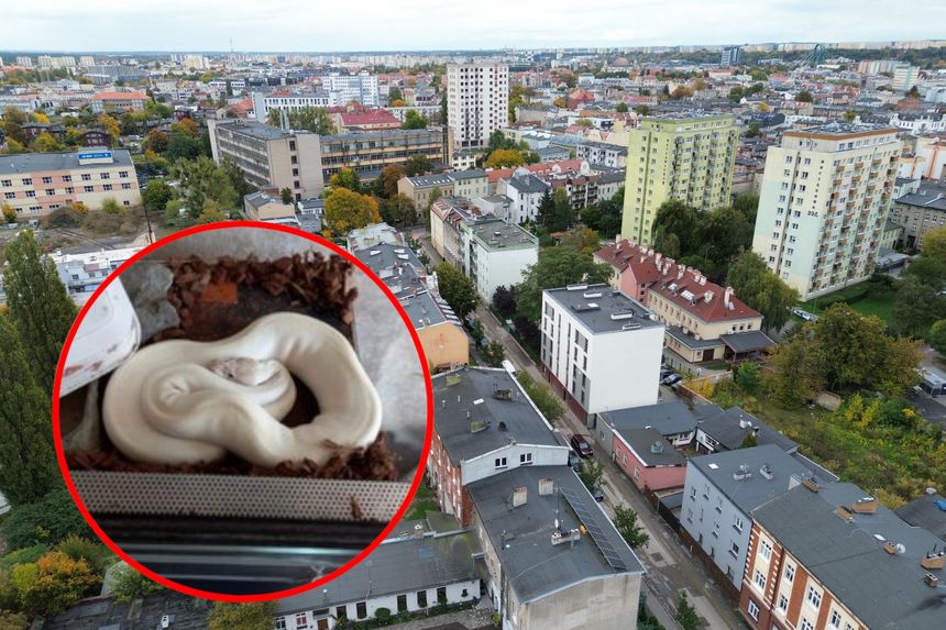 Bydgoszcz