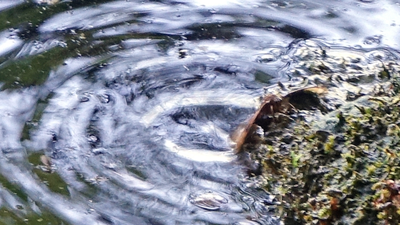 wulkan i jezioro Laacher See w Niemczech