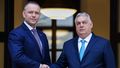 Prezydent Karol Nawrocki spotkał się w Budapeszcie z premierem Węgier Viktorem Orbanem