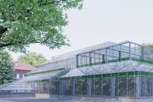 Palmiarnia, Wrocław