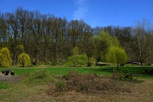 Martówka