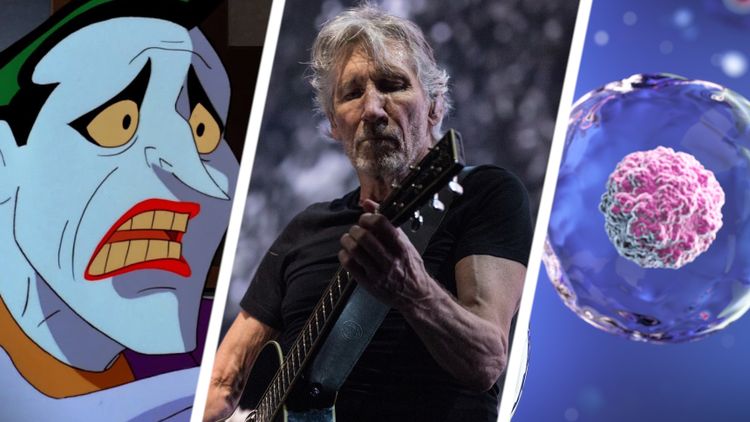 Batman, Pink Floyd, komórka