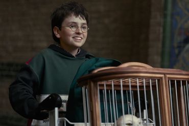 Harry Potter - kadr z serialu HBO