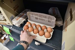 Osoba trzymająca karton z dziesięcioma brązowymi jajkami na półce sklepowej.