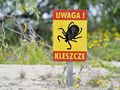 Kleszcz