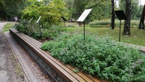 Ogród sensoryczny w Ogrodzie Botanicznym w Lublinie