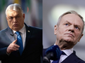 Tusk, Orban
