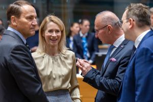 Kaja Kallas i Radosław Sikorski z innymi politykami