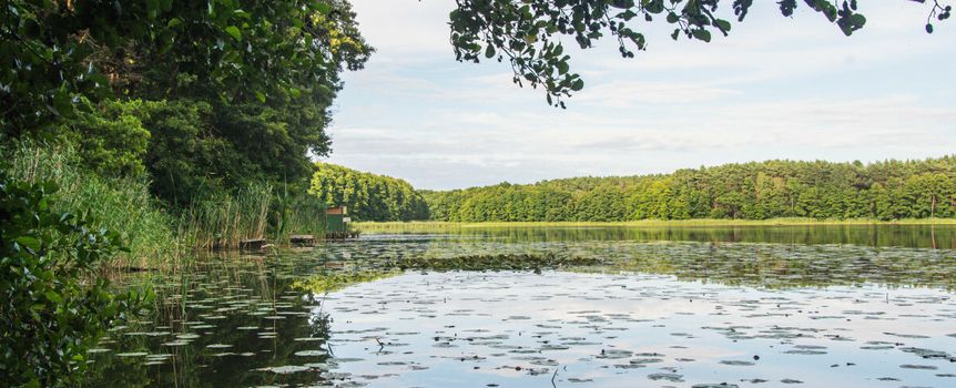 Jezioro Wuszno w powiecie wolsztyńskim