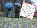 Prognoza pogody na 14 kwietnia