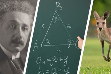Albert Einstein, działania matematyczne, kangur