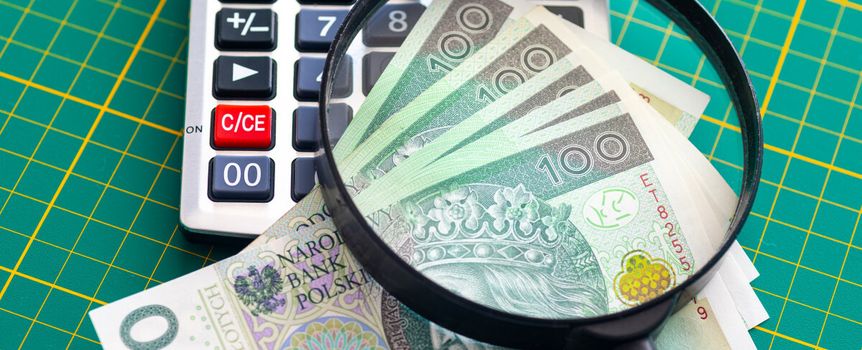 pieniądze pod lupą