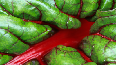 Boćwina, burak liściowy