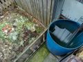 Kompostownik z resztkami warzyw i owoców obok niebieskiej beczki z wodą. Brak osób.