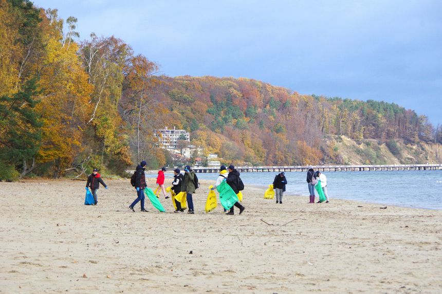 Sprzątanie plaży