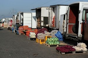 Targ warzywny z ciężarówkami i dostawami cebuli, ziemniaków oraz kapusty. Słoneczna pogoda.