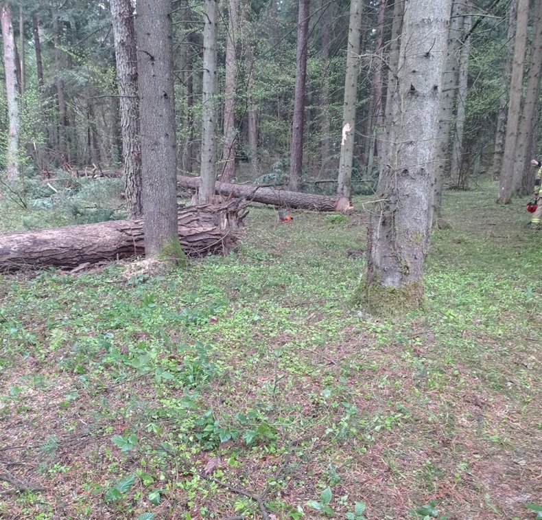 wypadek