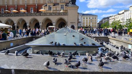 Kontrowersyjna fontanna zniknie z krakowskiego Rynku