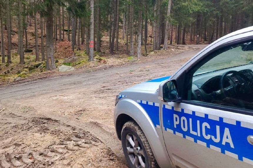 Policja, radiowóz