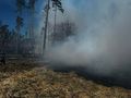 Pożar lasu