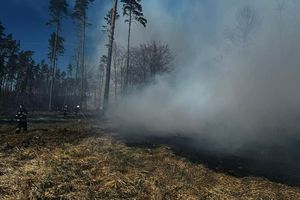 Pożar lasu