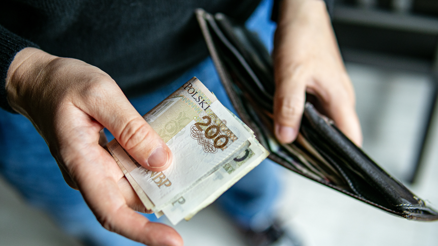 Portfel - materiał poglądowy