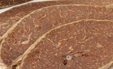 Plastry ciemnej, mięsnej wędliny na białym tle, o jednolitej fakturze i wyglądzie.