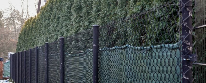 ogrodzenie działki