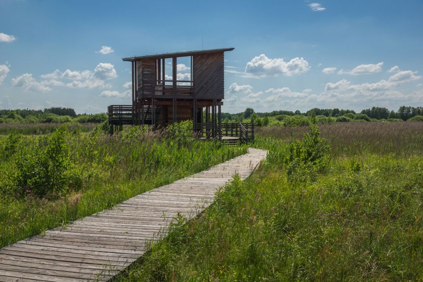 Kampinoski Park Narodowy 