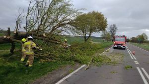 Strażacy usuwają skutki wichury