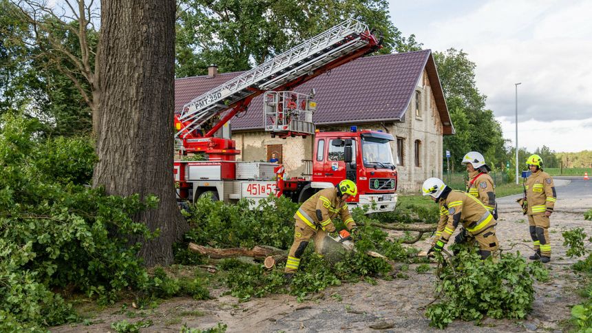 wichury, zdjęcie z 2025 r.