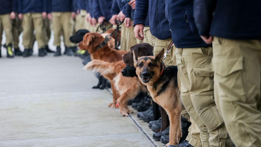 Psy ratownicze, które wróciły z misji w Turcji w 2023 roku