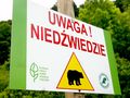 znak uwaga Niedźwiedzie