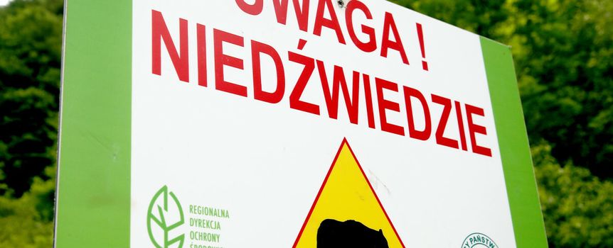 znak uwaga Niedźwiedzie