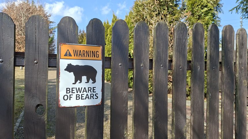 Atak niedźwiedzia a turystyka. Czy majówka w Bieszczadach będzie słabsza? 