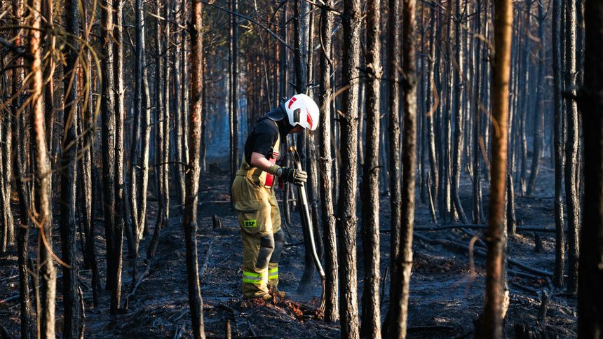 pożar lasu podczas majówki