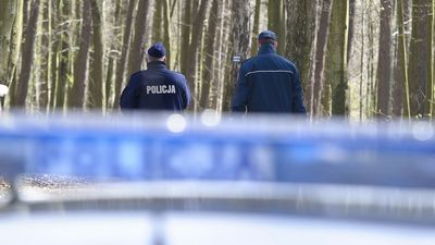 Tragedia podczas wycinki drzew w woj. zachodniopomorskim. Nie żyje mężczyzna