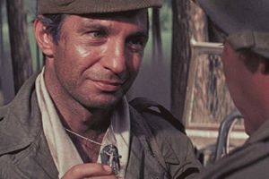 Most na Renie (1969)