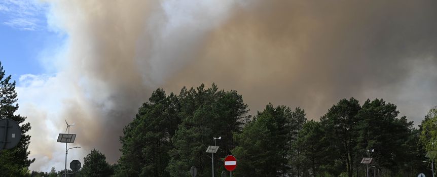 Pożar lasu