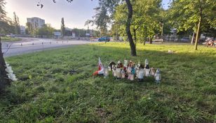 Zniżcze w parku Glazja