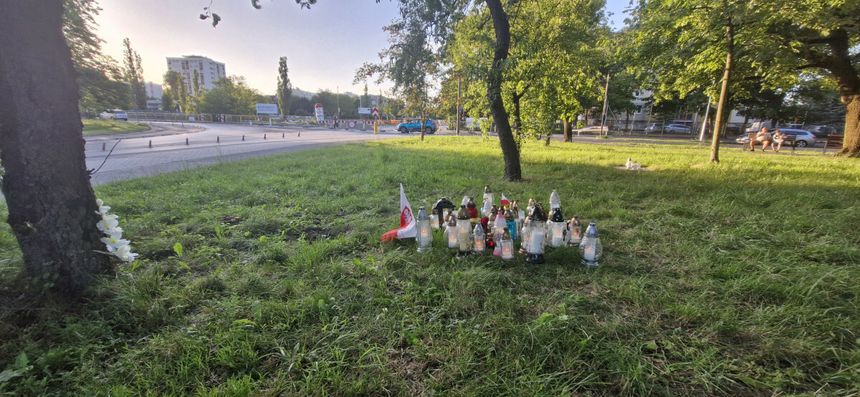 Zniżcze w parku Glazja