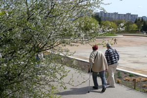 Dwie osoby idą aleją wiosenną, obok kwitnącego drzewa, w tle park i budynki.