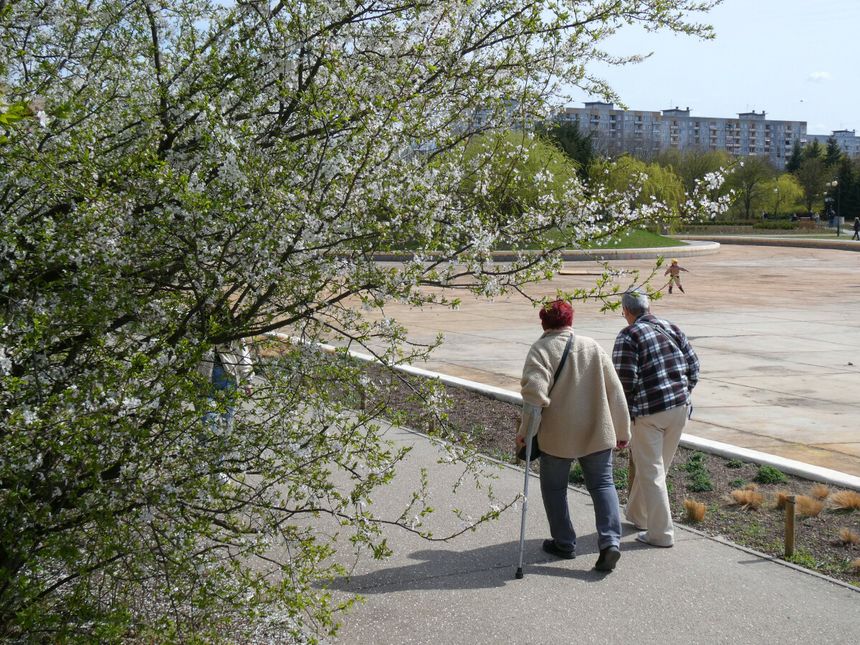 Dwie osoby idą aleją wiosenną, obok kwitnącego drzewa, w tle park i budynki.