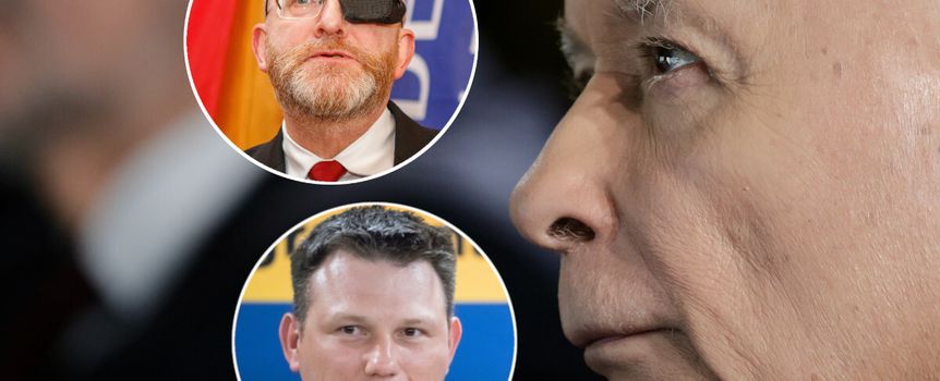 Prawica chce w 2027 roku odbić Senat z rąk koalicji 15 października, ale jej starania coraz bardziej przypominają fabułę serialu animowanego „Pinky i Mózg” niż poważną strategię polityczną.
